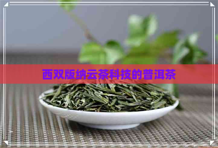 西双版纳云茶科技的普洱茶