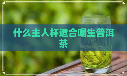 什么主人杯适合喝生普洱茶