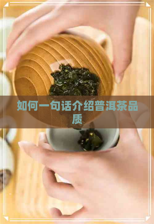 如何一句话介绍普洱茶品质