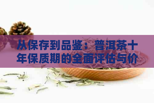 从保存到品鉴：普洱茶十年保质期的全面评估与价格分析