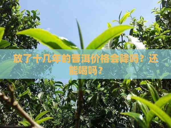 放了十几年的普洱价格会降吗？还能喝吗？