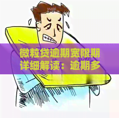 微立贷逾期宽限期详细解读：逾期多长时间可以申请？如何计算？