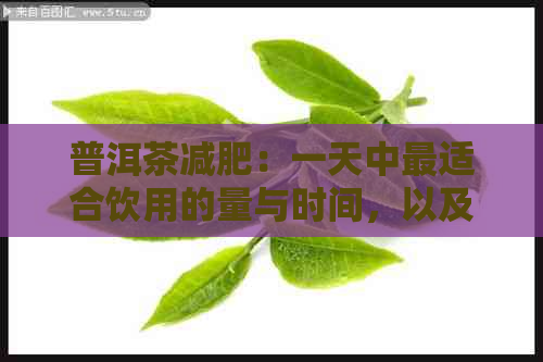 普洱茶减肥：一天中最适合饮用的量与时间，以及注意事项