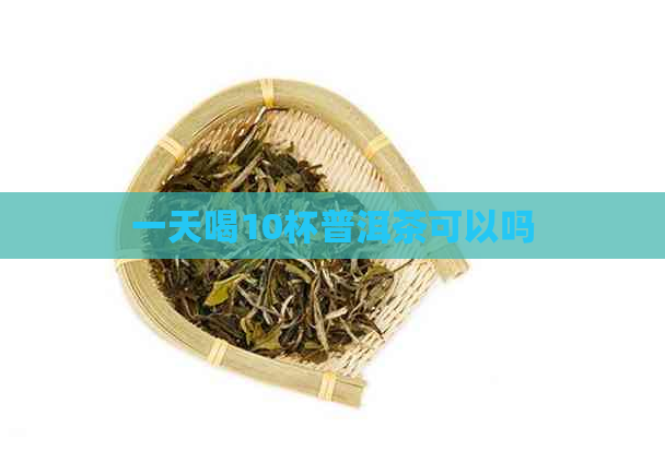 一天喝10杯普洱茶可以吗