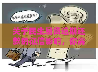 关于民生易贷逾期还款的影响，你需要知道的一切