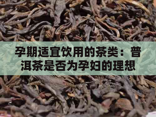 孕期适宜饮用的茶类：普洱茶是否为孕妇的理想选择？