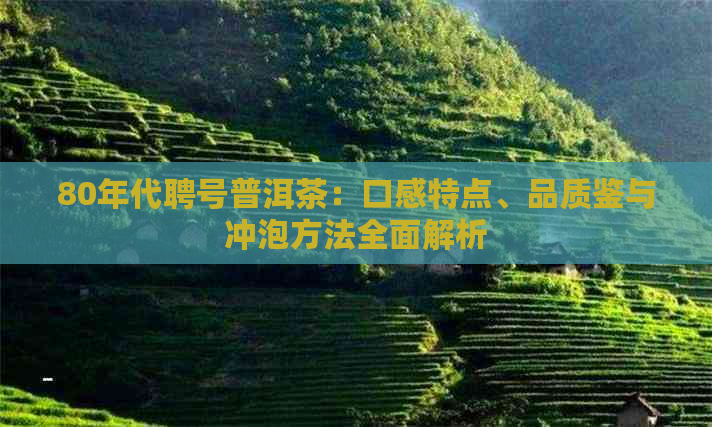 80年代聘号普洱茶：口感特点、品质鉴与冲泡方法全面解析