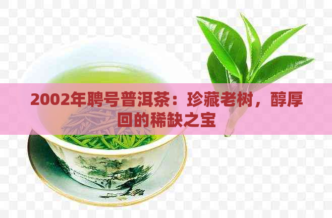 2002年聘号普洱茶：珍藏老树，醇厚回的稀缺之宝