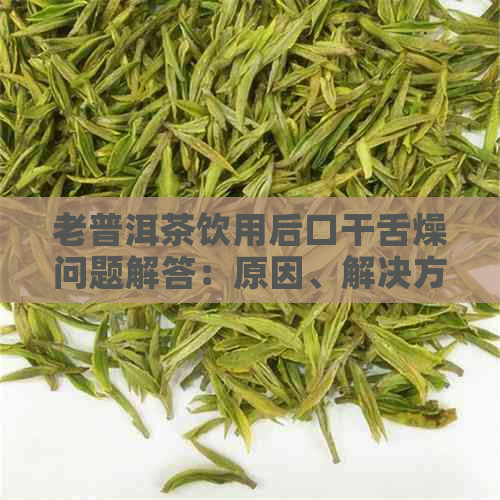 老普洱茶饮用后口干舌燥问题解答：原因、解决方法及饮用技巧全面解析