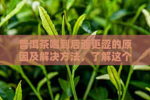 普洱茶喝到后面更涩的原因及解决方法，了解这个才能更好地品鉴普洱茶