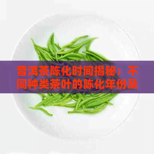 普洱茶陈化时间揭秘：不同种类茶叶的陈化年份及口感影响因素