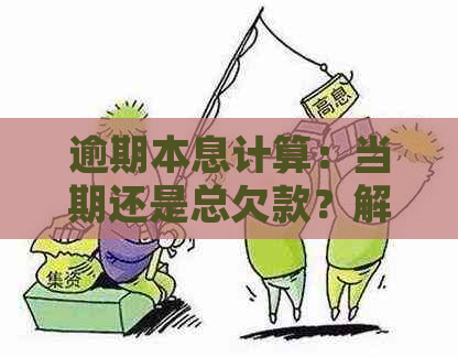 逾期本息计算：当期还是总欠款？解答用户疑惑并提供详细说明