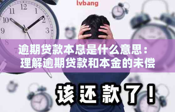 逾期贷款本息是什么意思： 理解逾期贷款和本金的未偿还金额