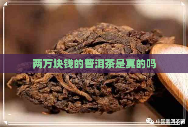 两万块钱的普洱茶是真的吗