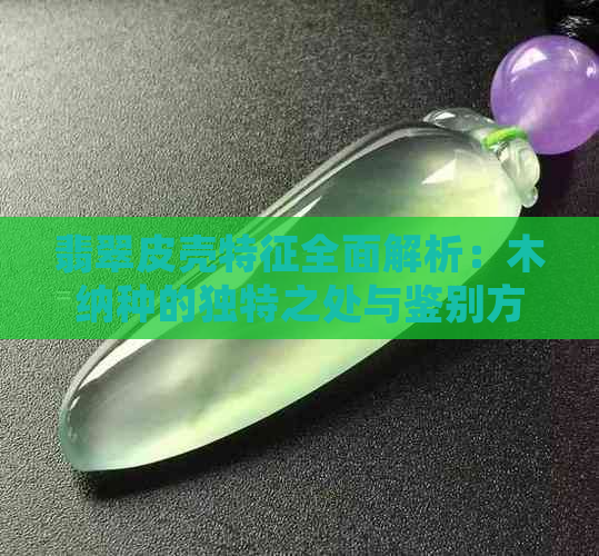 翡翠皮壳特征全面解析：木纳种的独特之处与鉴别方法