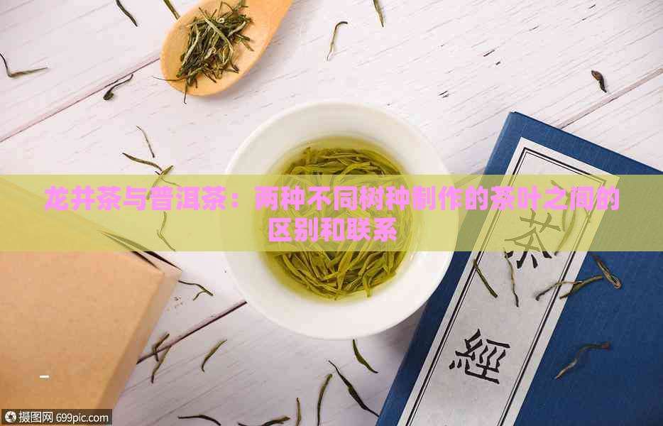 龙井茶与普洱茶：两种不同树种制作的茶叶之间的区别和联系