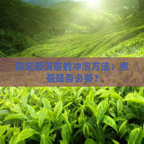 探究普洱茶的冲泡方法：煮茶是否必要？