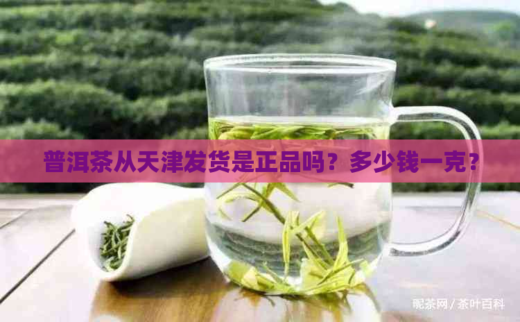 普洱茶从天津发货是正品吗？多少钱一克？