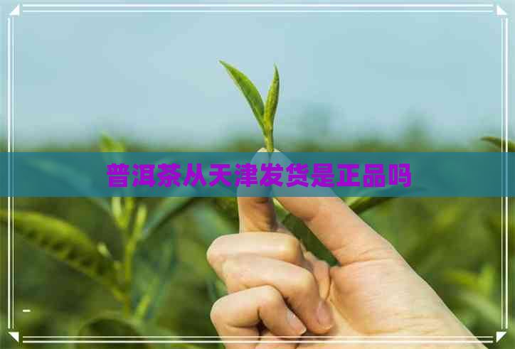 普洱茶从天津发货是正品吗