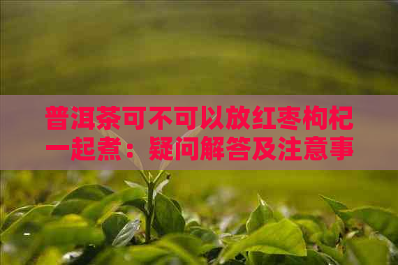 普洱茶可不可以放红枣枸杞一起煮：疑问解答及注意事项