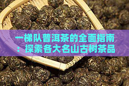 一梯队普洱茶的全面指南：探索各大名山古树茶品种及特点