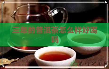 三年的普洱茶怎么样好喝吗