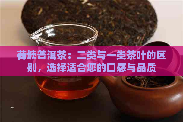 荷塘普洱茶：二类与一类茶叶的区别，选择适合您的口感与品质