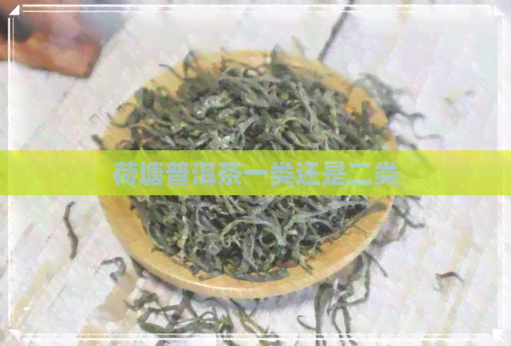 荷塘普洱茶一类还是二类