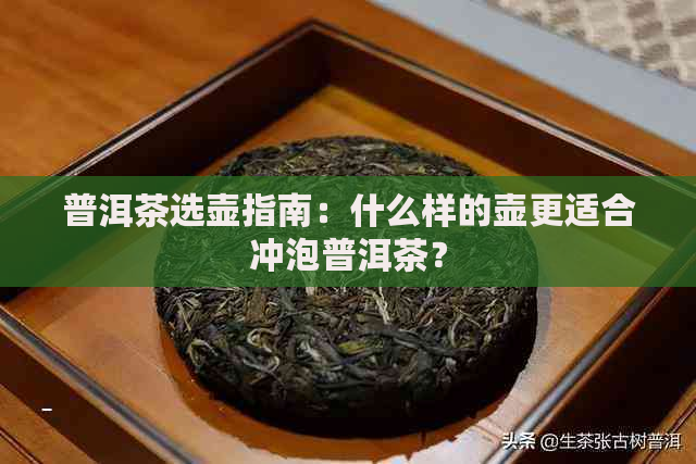 普洱茶选壶指南：什么样的壶更适合冲泡普洱茶？