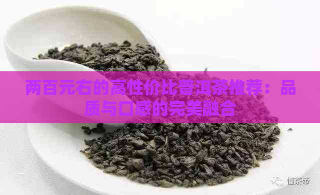 两百元右的高性价比普洱茶推荐：品质与口感的完美融合