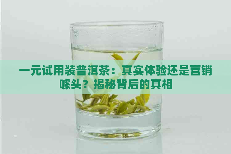 一元试用装普洱茶：真实体验还是营销噱头？揭秘背后的真相