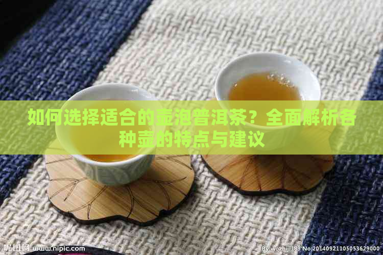 如何选择适合的壶泡普洱茶？全面解析各种壶的特点与建议