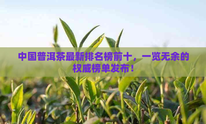 中国普洱茶最新排名榜前十，一览无余的权威榜单发布！