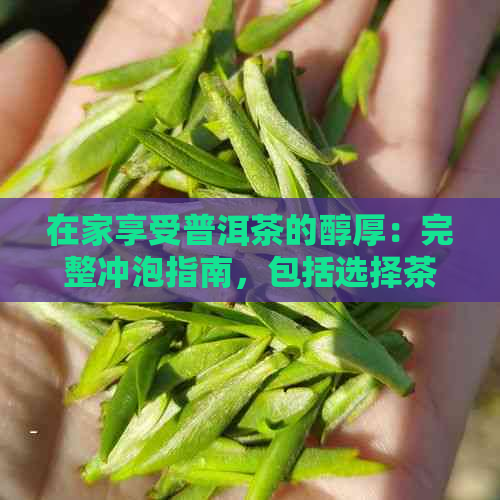 在家享受普洱茶的醇厚：完整冲泡指南，包括选择茶具、水质、茶叶量等步骤