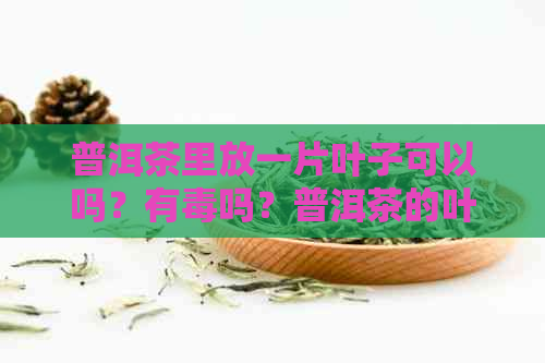 普洱茶里放一片叶子可以吗？有吗？普洱茶的叶子能吃吗？