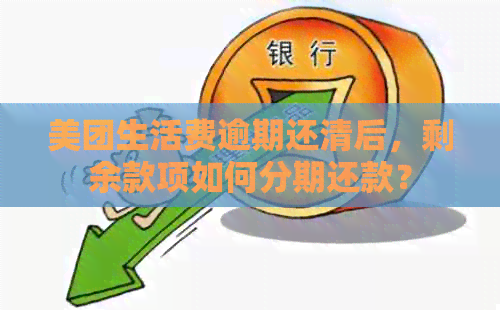 美团生活费逾期还清后，剩余款项如何分期还款？