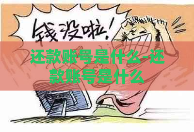 还款账号是什么-还款账号是什么