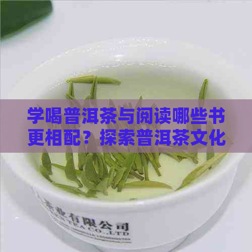 学喝普洱茶与阅读哪些书更相配？探索普洱茶文化与茶道哲学的完美结合