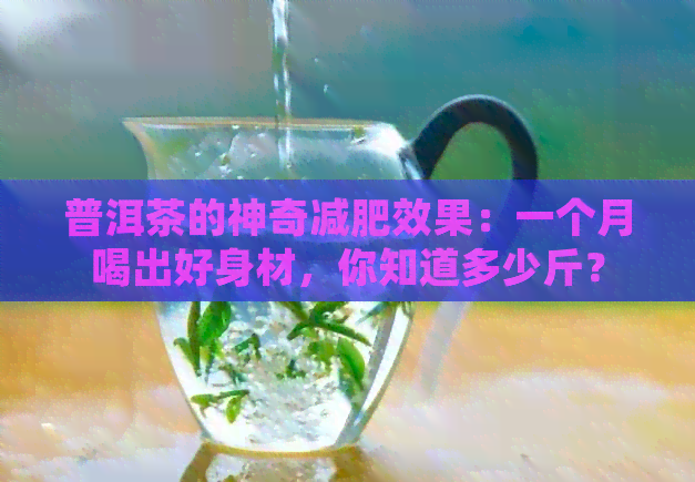 普洱茶的神奇减肥效果：一个月喝出好身材，你知道多少斤？