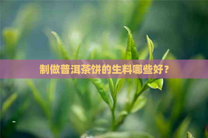 制做普洱茶饼的生料哪些好？