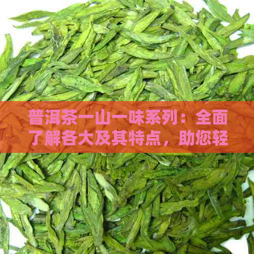 普洱茶一山一味系列：全面了解各大及其特点，助您轻松选购合适茶叶