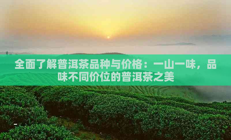 全面了解普洱茶品种与价格：一山一味，品味不同价位的普洱茶之美