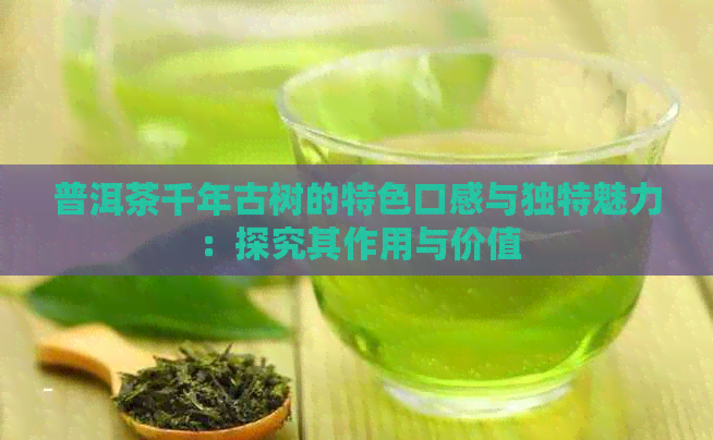 普洱茶千年古树的特色口感与独特魅力：探究其作用与价值