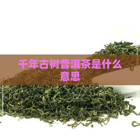 千年古树普洱茶是什么意思