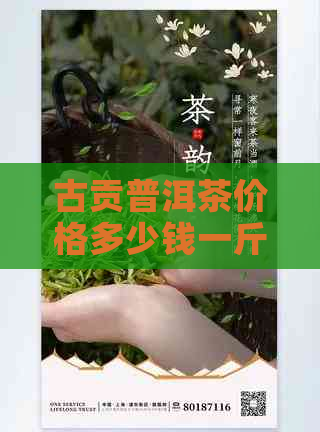 古贡普洱茶价格多少钱一斤啊，女士