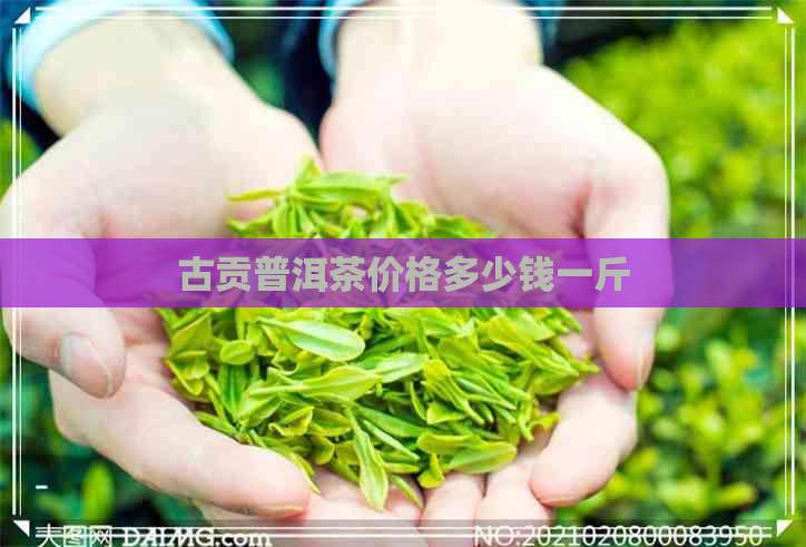 古贡普洱茶价格多少钱一斤