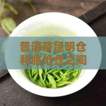 普洱茶昆明仓和临沧仓之间的区别及它们各自的特色是什么？