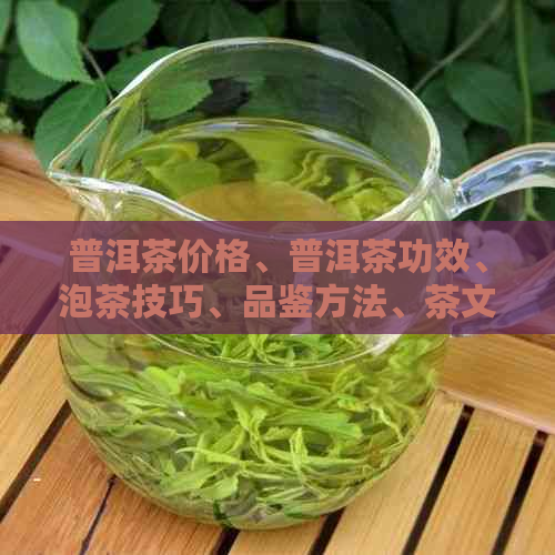 普洱茶价格、普洱茶功效、泡茶技巧、品鉴方法、茶文化、茶叶种类