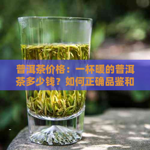 普洱茶价格：一杯暖的普洱茶多少钱？如何正确品鉴和购买普洱茶？