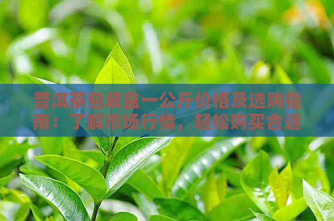 普洱茶包装盒一公斤价格及选购指南：了解市场行情，轻松购买合适的普洱茶